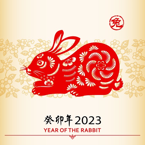 中国新年兔.jpg